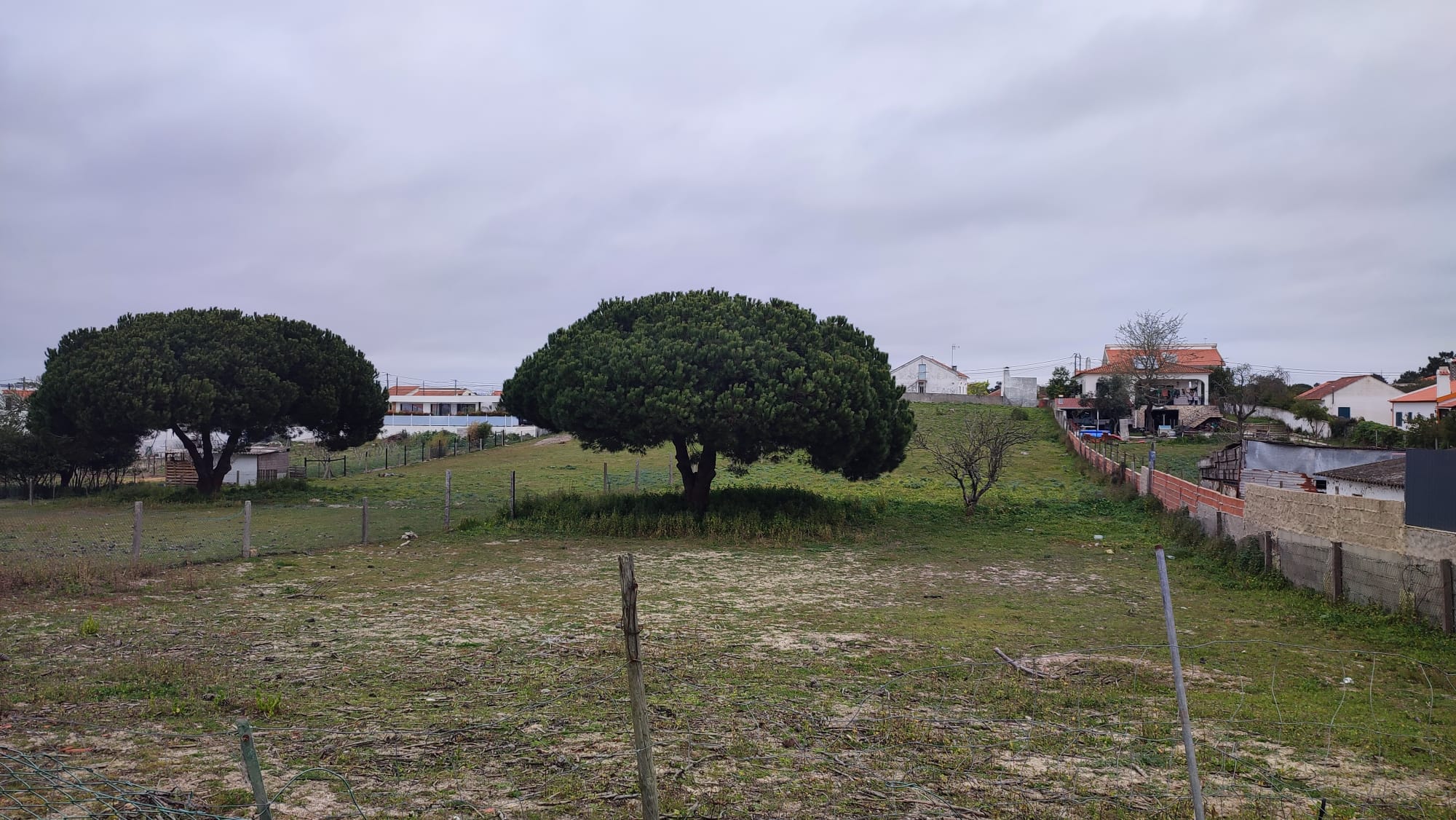 Villas Raízes 10