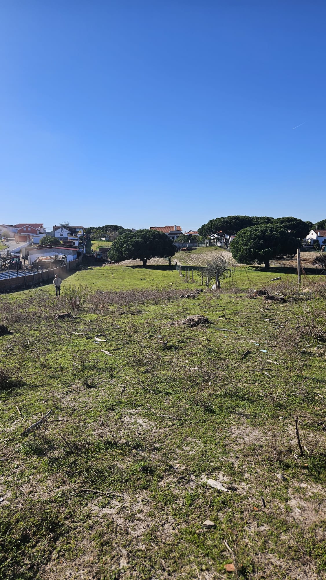 Villas Raízes 9